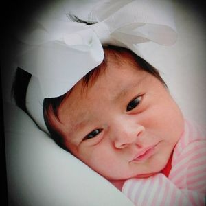 Meet your Posher, Roxy